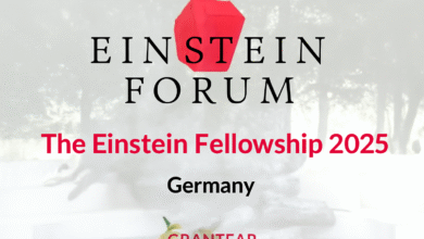 einstein fellowship program
