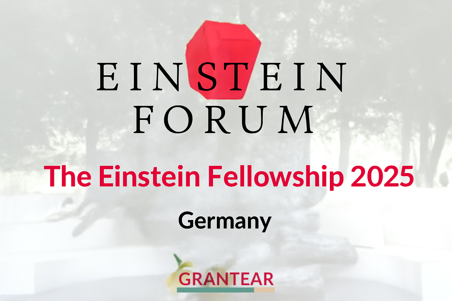 einstein fellowship program