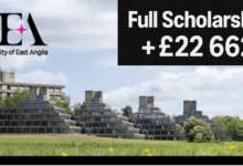 David Sainsbury Scholarship