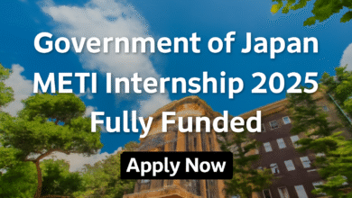 Government of Japan METI Internship