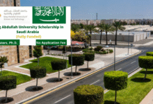 King Abdullah University Internship