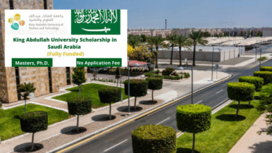 King Abdullah University Internship