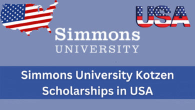 Simmons Distinguished Scholar Award