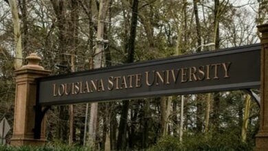 Louisiana State University Scholarships 2026